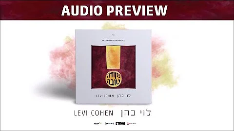 Levi Cohen - Nekudah Tova - Audio Preview