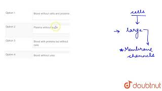 The Filtrate From Glomerulus Contains