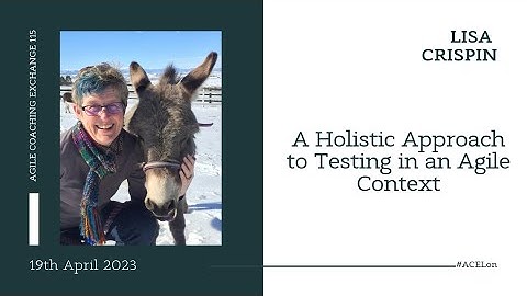 A Holistic Approach to Testing in an Agile Context - Lisa Crispin