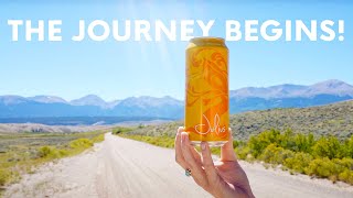 A journey to the hop fields of the Pacific Northwest, Part I