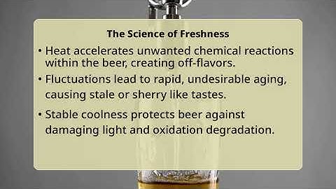 Why Is A Stable Beer Storage Temperature Key?