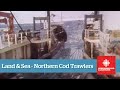 Land & Sea - Northern Cod - Full Episode