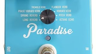 Reviewing the GOKKO PARADISE modulated reverb pedal.