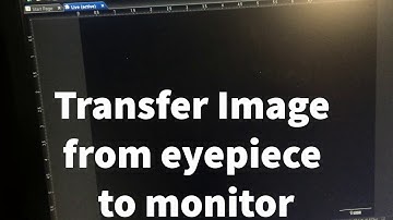 Biol129 DAPI Staining