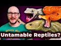 Top 5 Most Difficult To Tame Reptiles, But The Most Rewarding!