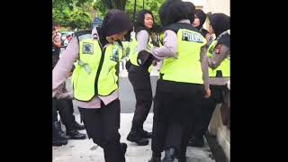 TARIAN DAERAH OFA LANGGA SOBA SOBA (ROTE-NTT)