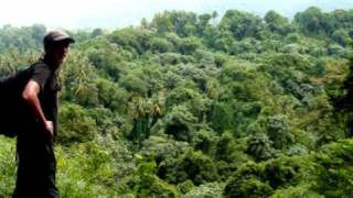 Trinity Falls St Vincent