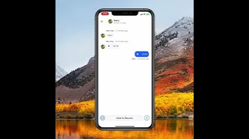 FlutterFlow IXDC 2024 - Billy Qiu