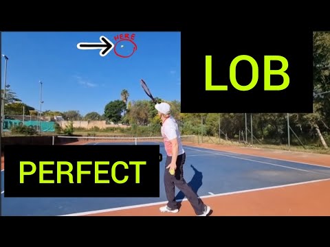ALWAYS hit a perfect Lob✅