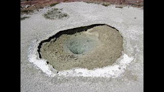 Topsoil Spring (2019)