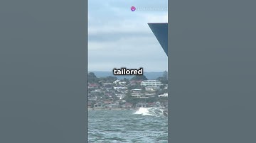 Why New Ships Ditch the Bulbous Bow! #sea #facts #ship #construction #ocean #rules #shiplife #marine