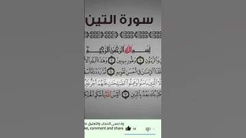 #اكسبلور #المصحف #الرحمن #سورة التين تلاوة هادئة لسورة التين