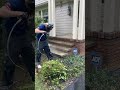 Front stair step transformation #powerwashing #clean #satisfying #timelapse ￼