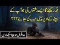 Nasihat Amoz Aqwal | Sunehri Batain & Aqwal | Lesson Able Quotes In Urdu | Urdu Islamic Quotes |