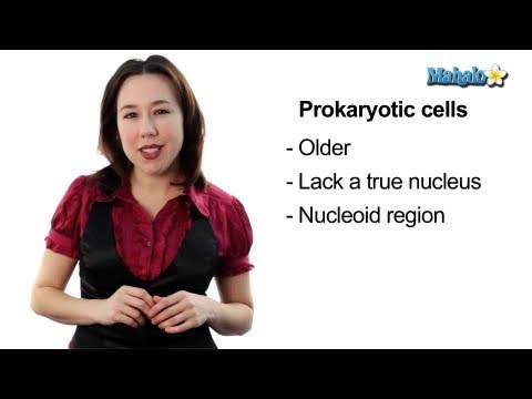 Learn Biology: CellsProkaryotic Cells vs. Eukaryotic Cells