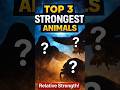 Top 3 Strongest Animals (Relative Strength) 🦍These Tiny Creatures Are Surprisingly Powerful