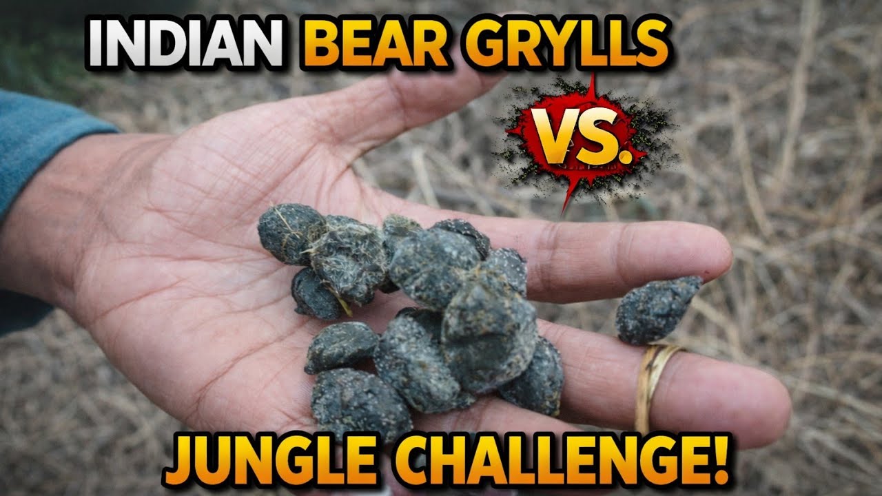 Indian bear Grylls 