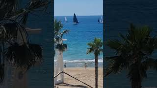 Perfect Conditions for Sailing #spain r#shorts