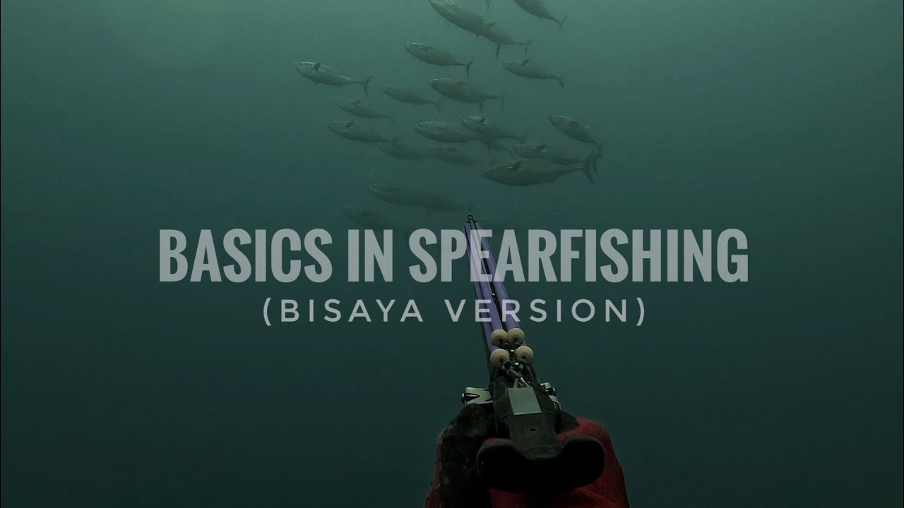 BASICS IN SPEARFISHING (BISAYA VERSION) || HARVEST PANG FIESTA || DANGHAG LANG AGI 🤣👉🐟