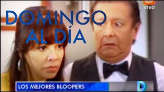 Domingo al Día - Los mejores bloopers de 'Al fondo hay sitio'  - 23.12.12