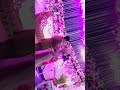 Video cinematic hp 16 detik, wedding metty ermiati