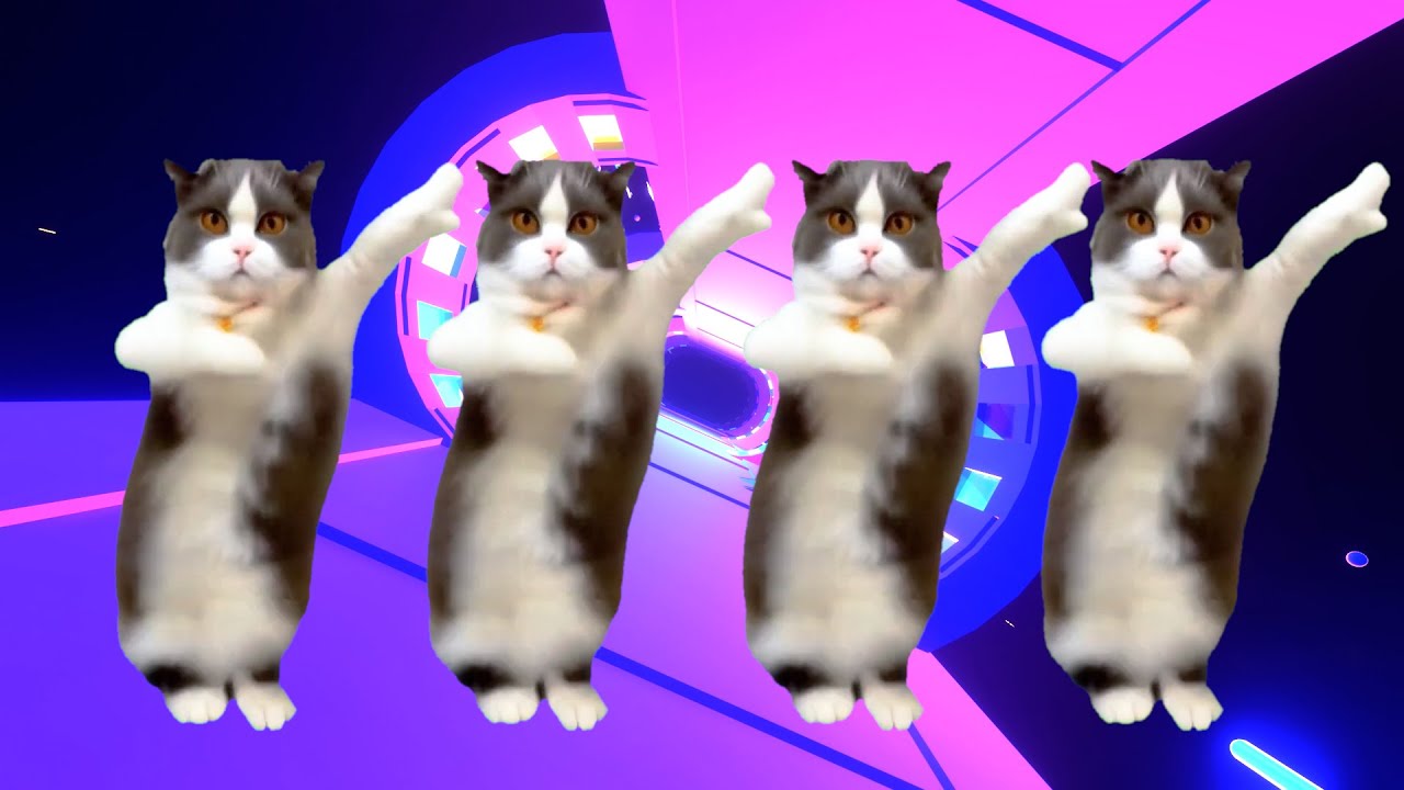 Meo Meo Meo Remix | Mèo Nhảy Nhạc Vinahosue Sôi Động | Nhạc Hot TikTok ...