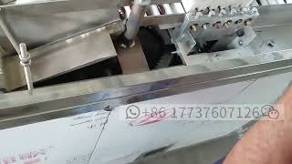 Big capacity Plum Date Jujube Pitting Machine Date Palm Seeds Removing Machine