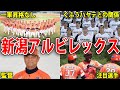 新潟アルビレックスとは?一軍昇格がない?注目選手や監督について