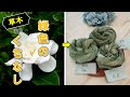 【草木染】緑に染まるくちなしで染めてみた。/green vegetable dye
