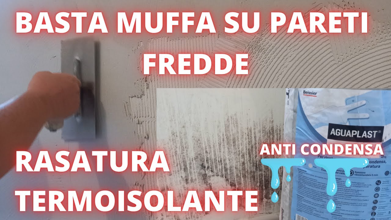 Come eliminare la muffa in modo definitivo