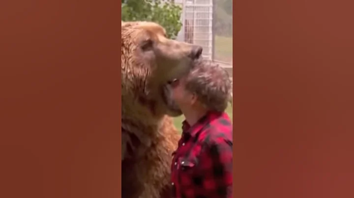 BEAR ATTACK! 5 things you should do if a bear attacks. #wildlife #nature #shorts #fear #how #horror