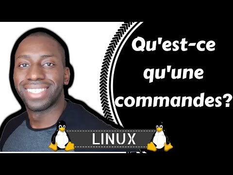 Vidéo: Qu'est-ce qu'une commande TU ?