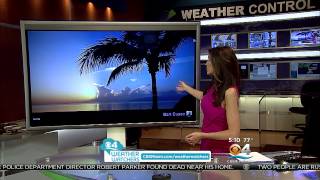 WFOR CBS 4 News This Morning - 7/23/15 Montage screenshot 3