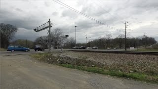 Idiot Drives Around Lowered Gates in Front of CSX Stack Train