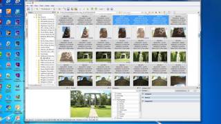 NIK and GIMP #4   RAW Files Conversion with XnViewMP