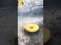 dancing pineapple | funny videos of the world 80 #shorts #funny #meme