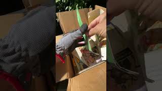 Download Lagu Incredible find in the garbage! 😳 MP3