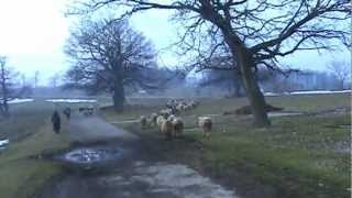 Karakaçan - Topçuköy