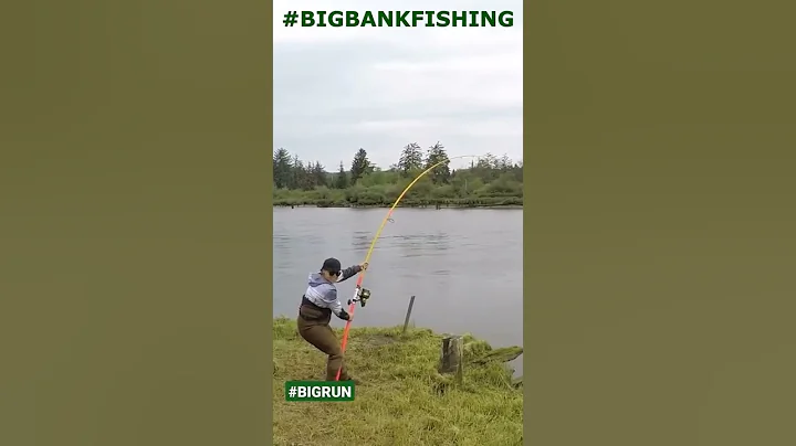 Big Run from a BIG Sturgeon!!