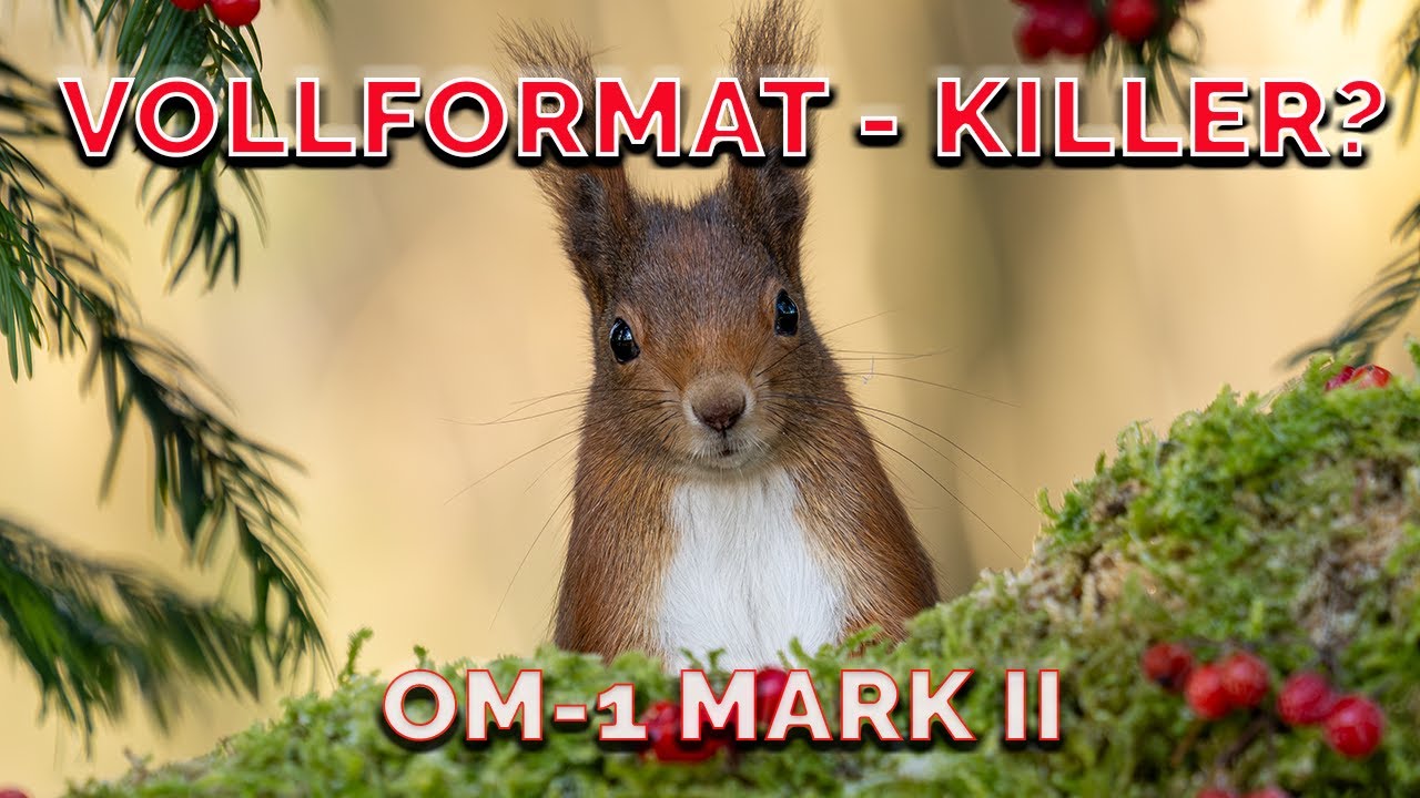 MFT vs. Vollformat - Kann die OM-1 Mark II wirklich mithalten?