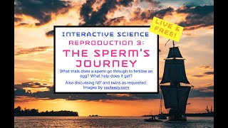 Reproduction 3: Sperm’s Journey!