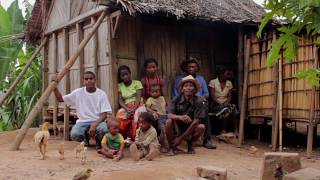 Trailer for documentary Andasibe in Madagascar