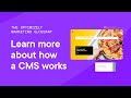 What is a Content Management System (CMS)?
