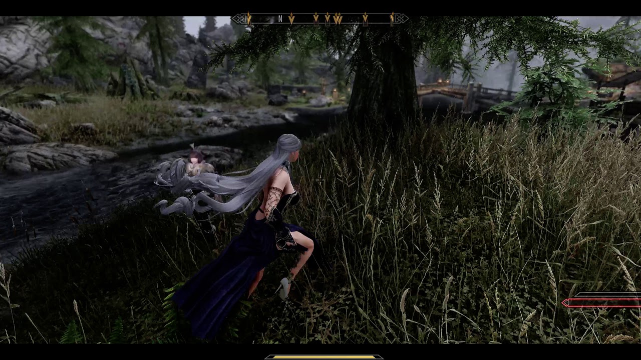 Skyrim Special Edition(GTX 1070)