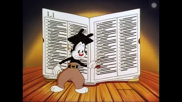All the Words in the English Language- Animaniacs [CC]