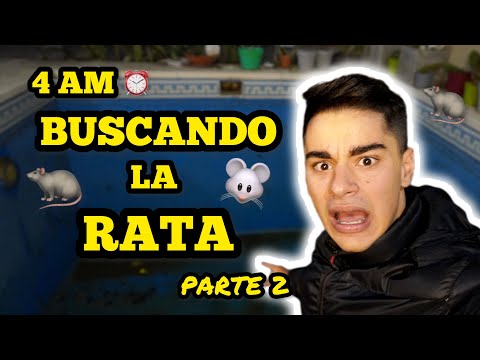 BUSCANDO LA RATA A LAS 4 AM 😱 🐀 *LA TRAMPA SE ACTIVO* | JUANCITO INVESTIGA