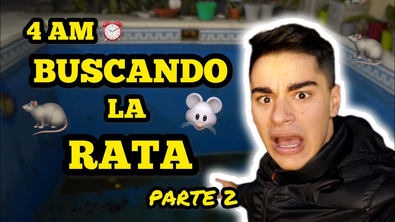 BUSCANDO LA RATA A LAS 4 AM 😱 🐀 *LA TRAMPA SE ACTIVO* | JUANCITO INVESTIGA