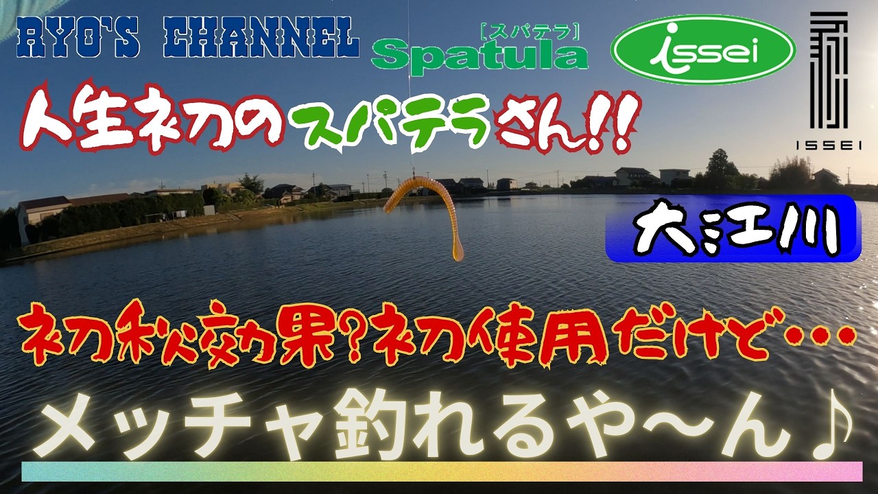 【大江川】人生初のスパテラさん‼︎初秋効果⁈初使用だけど・・・メッチャ釣れるや〜ん♪