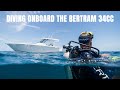 Offshore Diving Onboard The Bertram 34CC