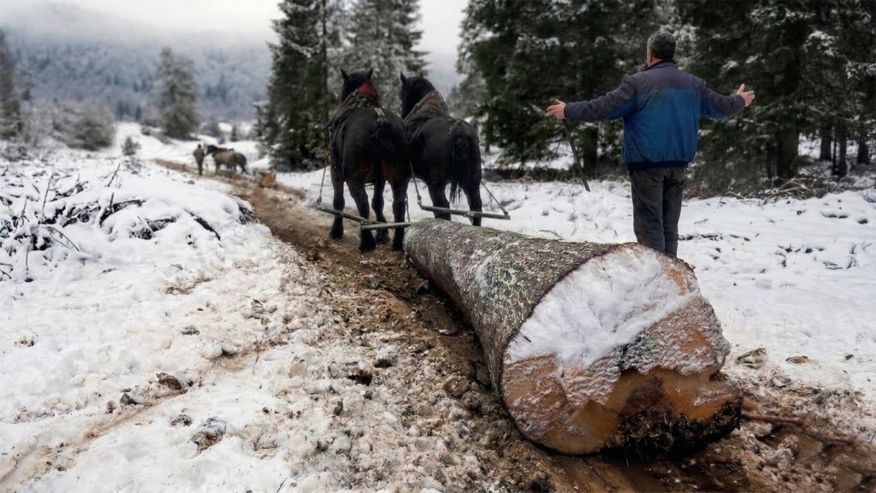 Утренние сны, а я в квартале...